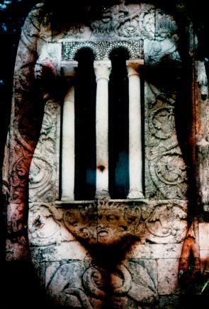 Metamorphoto by Anthony Weir