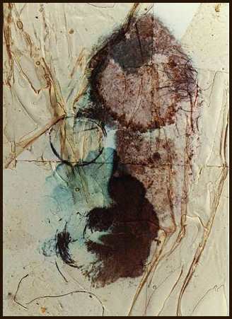 Selfportrait-metamorphoto